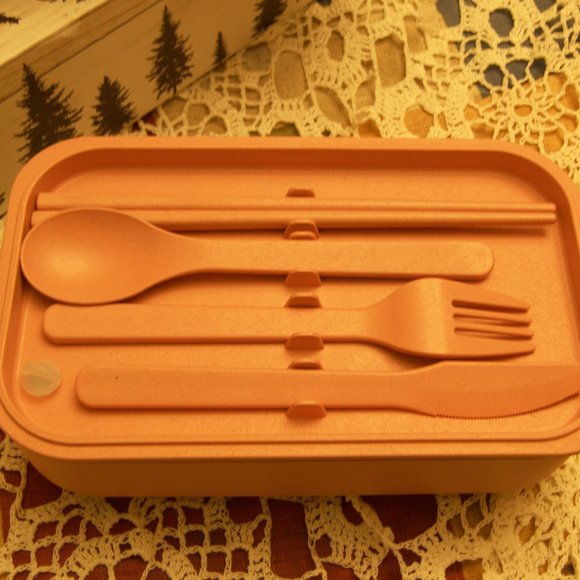 The Lunchbox - reusable Bento Box w/ HIP Reusable Food Tote - Picture 5 of 14